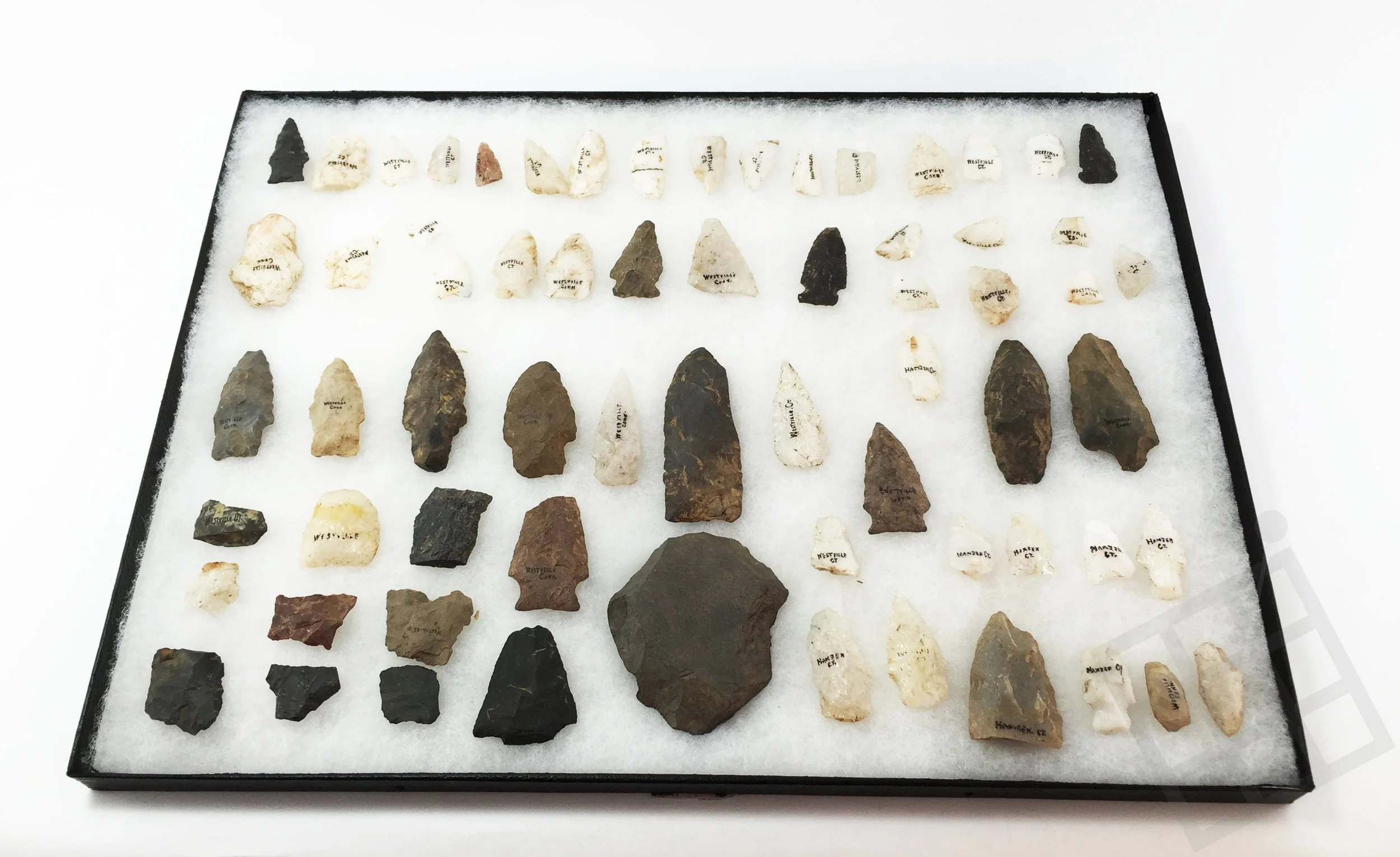 OUR COLLECTION — Lost in New Haven